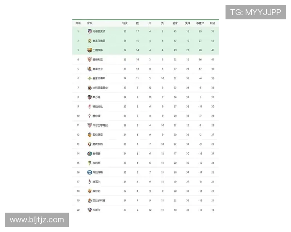 2008–2009赛季西甲积分榜数据与赛季总结